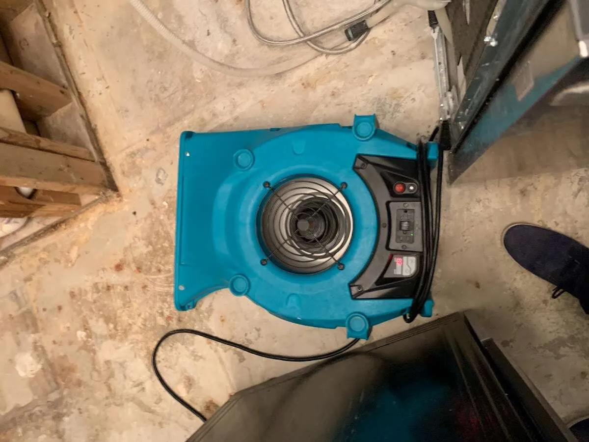 Air mover drying equipment for Mold Remediation & Removal in Roseville